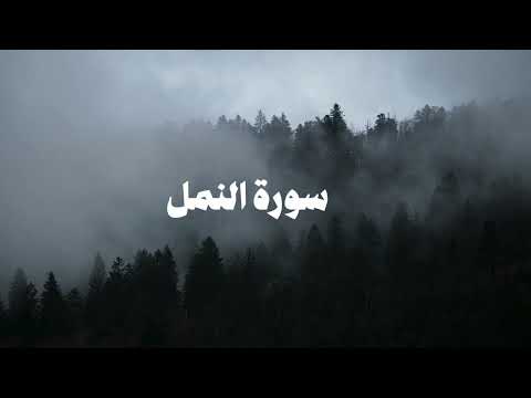 سورة النمل كاملة | محمد عبادة