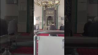 Fâtır Süresi 29-33 .Ayetler