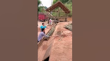 Transfer process of bamboo pulp raw materials into the crusher through a conveyor belt