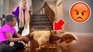 Scarlett Brought All The Chickens In The House * MOM LOST IT *