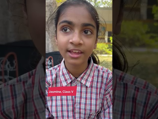 Students Speak! - Bridge The Gap Program Diaries  #environment #india #education #school