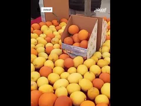 مهرجان القوارص بالحمامات في دورته الـ 12 