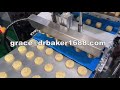 hasborg cookies depositing machine mooncake maamoul machine China