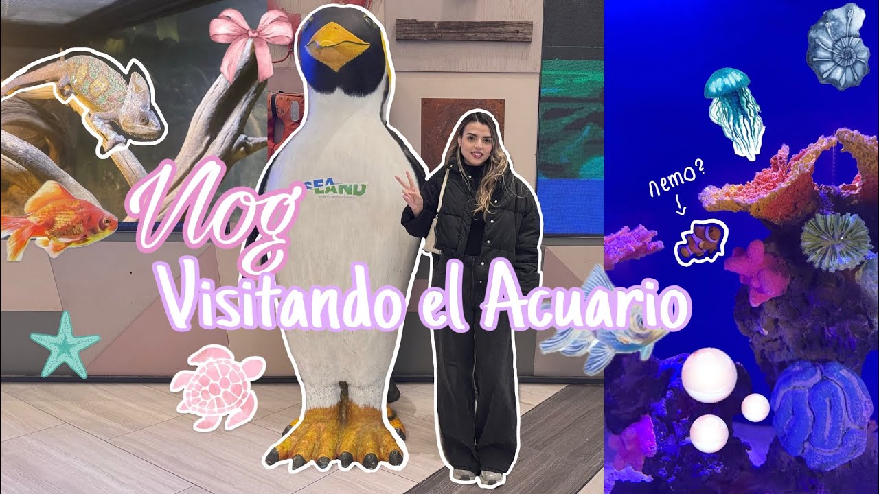 Girl graba por primera vez un vlog✨ (de visita al acuario 🐠🐡🐟)