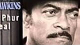 Video thumbnail of "Jimmy Dawkins - Lonesome"