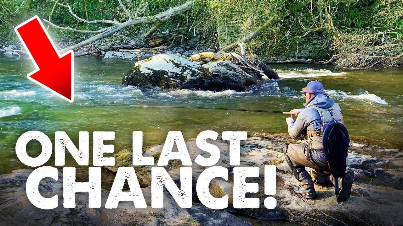 It’s now or never! My last day on the Grayling – River Taff, South-Wales, UK, 2025