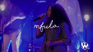 Mfula // We Will Worship chords