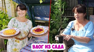 СУПЕР садовый ВЛОГ! Корневая шейка у туи. Первая тренировка Марты. Творожная галета с чаем!