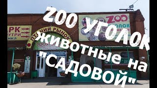 Видео скандал вокруг "зоопарка" на садовой. Начало от Евгений Валерьевич Ильченко, Автодорожная улица, Новокузнецк, Россия