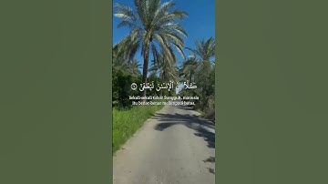 القرآن الكريم راحه نفسيه❤️🙏 #اكسبلور #كامري #اكسبلورر #لايك #شعر #محركات #ترند #ذواقه #تصويري