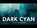 Dark Cyan: The Color of Deep Water and Digital Silence