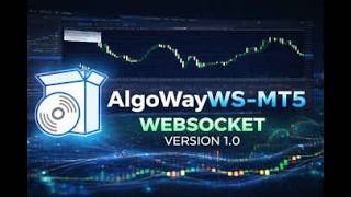 MT5 to TradingView: Webhook Alerts Automation in 2026