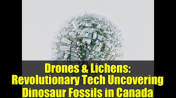 Drones & Lichens: Revolutionary Tech Uncovering Dinosaur Fossils in Canada