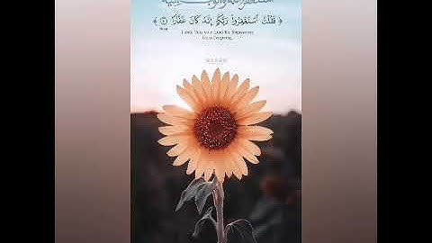 ?القارئ : صالح الصاهود⏱06:01 د 📖 الروم ۝ 41⇦60 #اكلات_بسيطة_مع_شيمو
