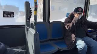 How to use public buses in Canada
