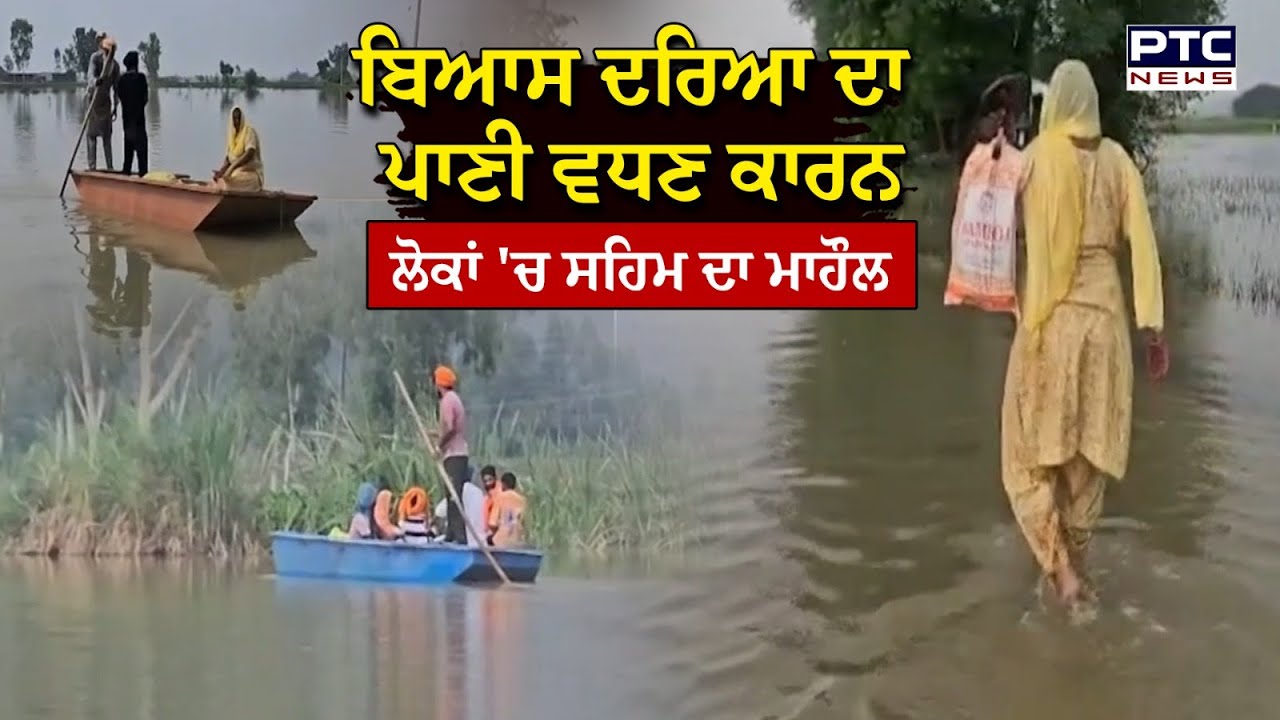 Beas ਤੇ Sutlej  'ਚ ਵਧੇ ਪਾਣੀ ਦੇ ਪੱਧਰ ਨੇ ਵਧਾਈ ਚਿੰਤਾ, ਦੇਖੋ PTC News ਦੀ  Ground Report