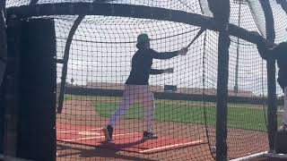 Cole Young, Ben Williamson Takes Batting Practice with Seattle Mariners! (2025 MLB Spring Training)