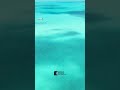 Exploring the Turks & Caicos Islands