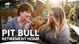 The New Warehouse For Forgotten Senior Dogs Pit Bulls Parolees S10 E17 18 Animal Planet India