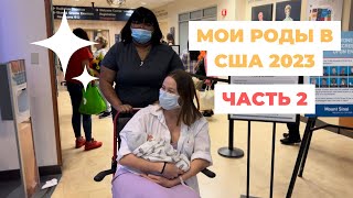 МОИ РОДЫ В США 2023| ЧАСТЬ 2| ПОСЛЕРОДОВАЯ ПАЛАТА| ВЫСОКИЙ БИЛИРУБИН| ЕДЕМ ДОМОЙ, РЕАКЦИЯ КОТА.