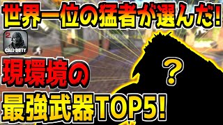 世界一位の実況者が選んだ現環境の最強武器TOP5がこれだ！！！【CODモバイル】