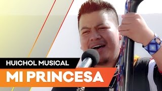 Video thumbnail of "Huichol Musical [Access] - Mi princesa"