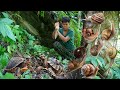life in the wild, build a wilderness cave shelter, traces left by wild animals, exotic wild turtle