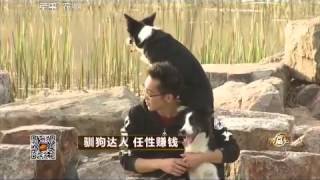 20150420 致富经 驯狗达人 任性赚钱