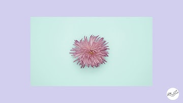 CVBA - Track 4 (Original Mix) [Drift Deeper Recordings]