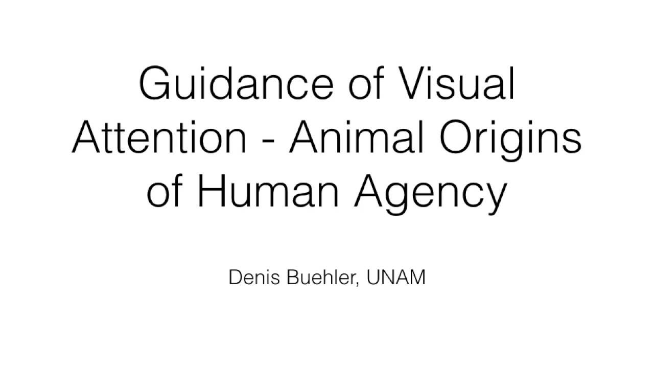 Guidance Of Visual Attention Minds Online - 