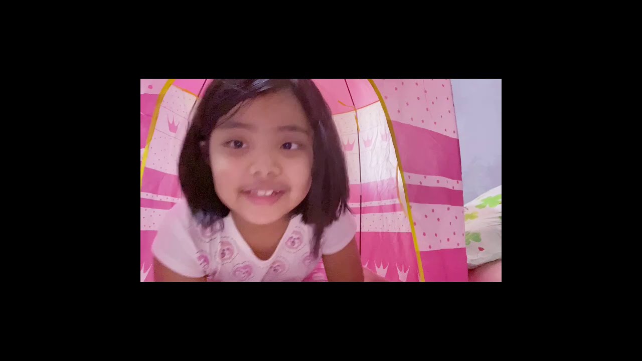 Portable Folding Home Camping Kids Tent Castle Cubby House