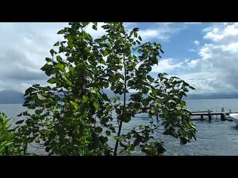 Sanguma Band- Garden Song composed by the late Sebastián Miyoni #music #traditional #dance