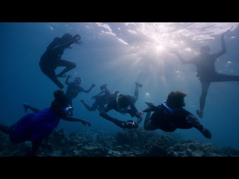 Papua New Guinea Field Edit (2025) | Pristine Seas | National Geographic Society