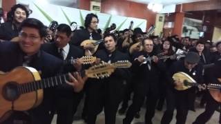 Video thumbnail of "Pandillero Bandido - Lira PUNO"