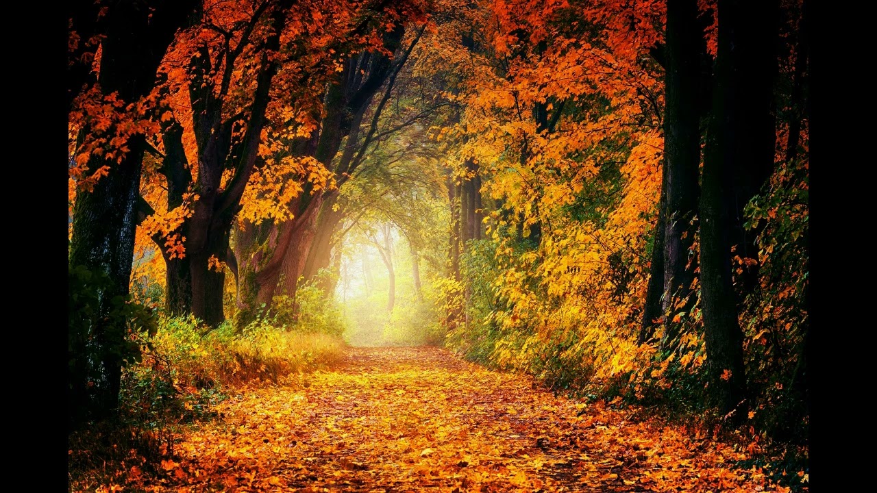 Nenad Šešo - Force of nature - AI Music Generator (version 1)