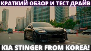 АВТО ИЗ КОРЕИ. ВЫКУПИЛИ KIA STINGER 2021 ДЛЯ КЛИЕНТА