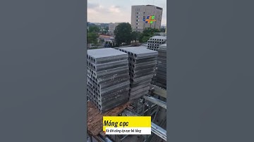 Móng cọc và thi công ép cọc bê tông