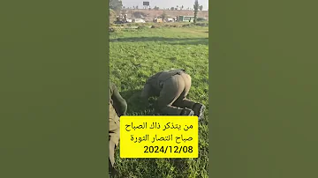 صباح انتصار الثورة السورية 2024 12 08 