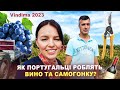 Португальське вино та самогонка? Vindima 2023