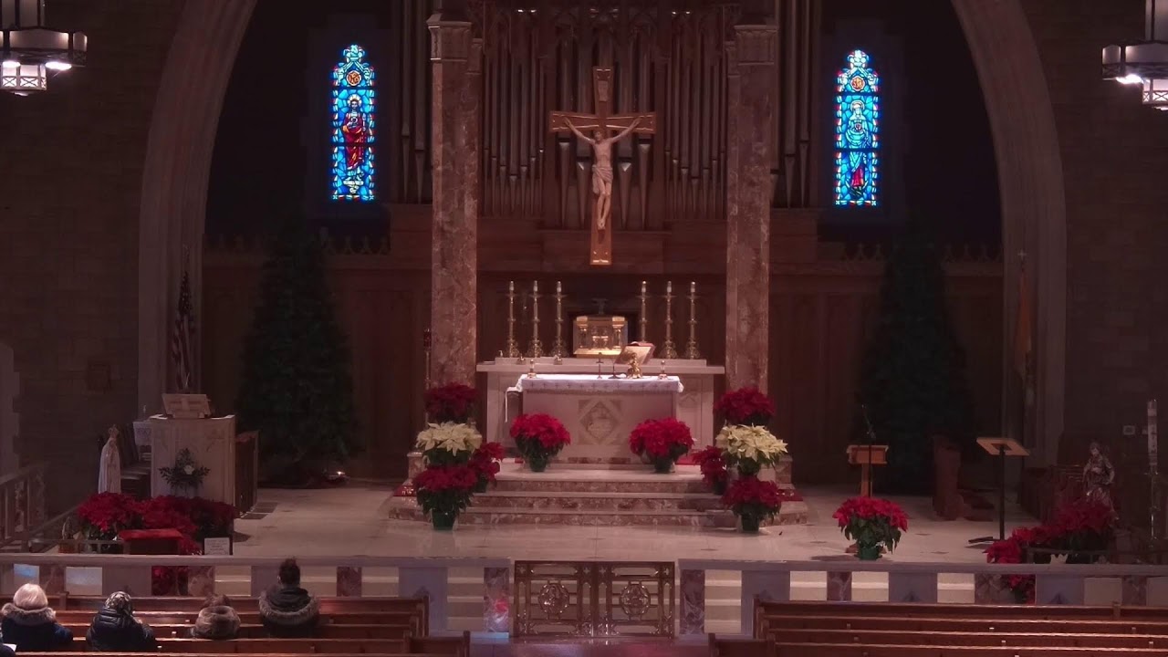 8:00 AM Celebration of the Holy Mass January 16, 2026
