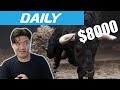 Daily: Freak Bull run surprises market / JPMorgan sued over fees