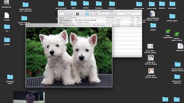The Box Model: Web Design Layout with Dreamweaver, HTML, and CSS