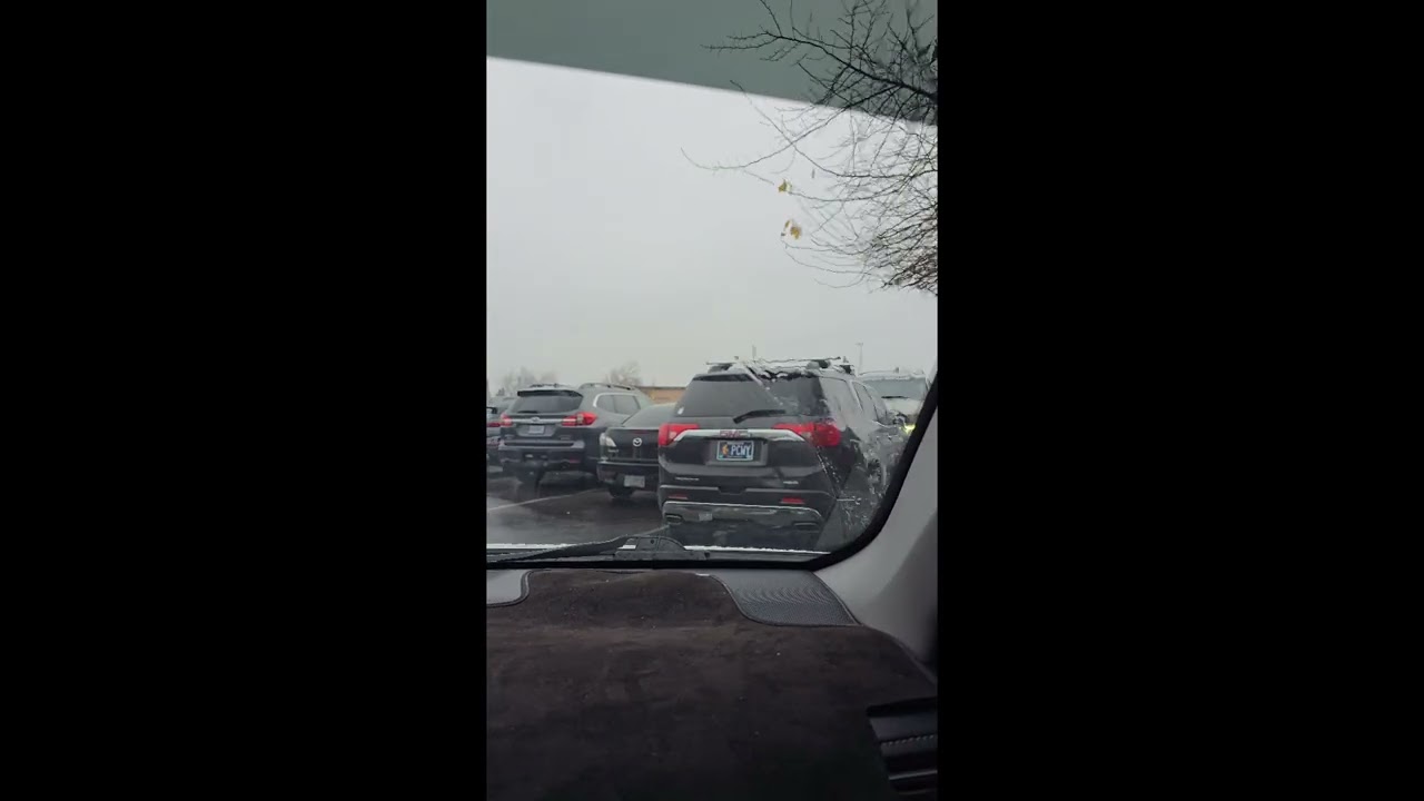 We head to the mall in springfield.