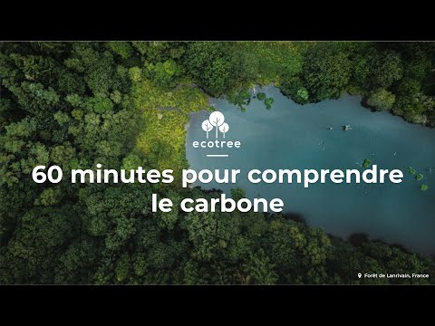 Vidéo: Quelle région est connue sous le nom de puits de carbone du globe ?