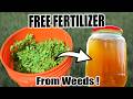 Free fertilizer from weeds