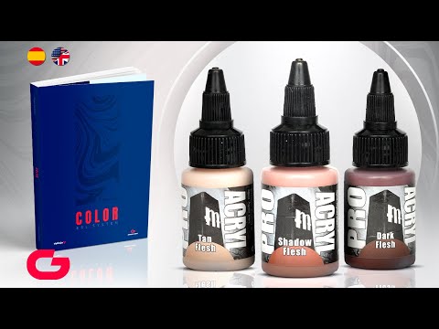 Applying Pro Acryl paints with the BSL system (COLOR book)
