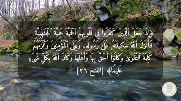 فأنزل الله سكينته على رسوله وعلى المؤمنين ...عبد الرحمن مسعد تلاوة هادئة.