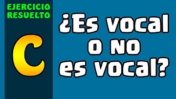 Programa que Diga Si una Letra es Vocal o No en Lenguaje C