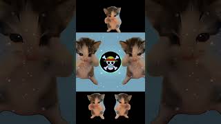 DJ KICAU KICAU MANIA REMIX ANGKATLAH TOPI MINAT MONGGO JAPRI VIRAL TIKTOK 2026