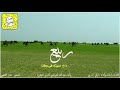 شيلة ربيع ذاع صيته في وطنا 2020